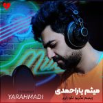 دانلود مداحی لری زینبم نگریو نکو زاری از میثم یاراحمدی